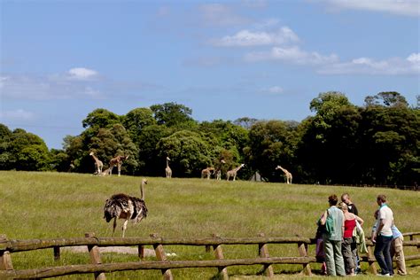 Visit Fota Wildlife Park with Discover Ireland