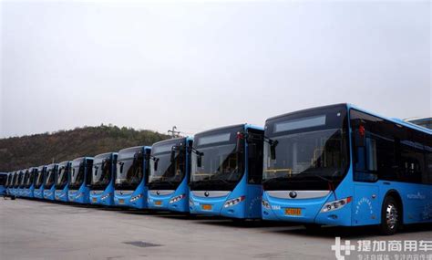【出行】换新车了！即日起，阳泉这趟公交车有变化_搜狐汽车_搜狐网