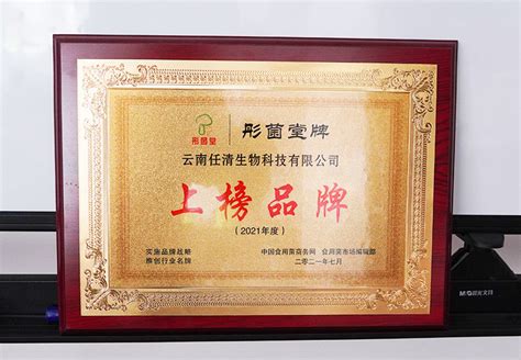 乐从龙舟队16人获“中华人民共和国体育运动荣誉奖章”_手机新浪网