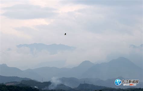 九江新闻网：九江芳兰湖湿地公园：风光旖旎 生态如画