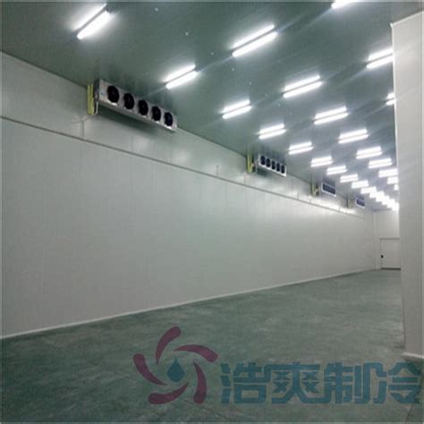 建造一个冷冻库的费用要多少钱_上海雪艺制冷科技发展有限公司