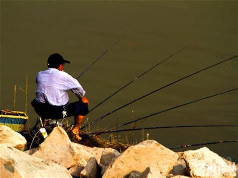 夏季江河中钓鲤鱼的三个经验和技巧_钓鱼人必看