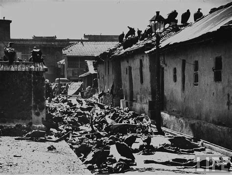 惨不忍睹---1946印巴战争的人间地狱[贴图] - 图说历史|国外 - 华声论坛