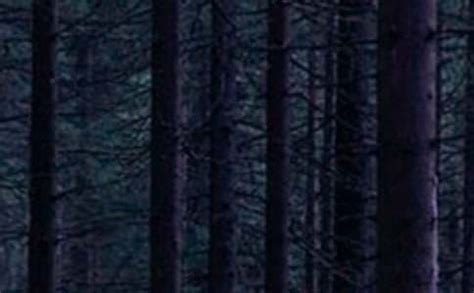 《三体II·黑暗森林 》书籍封面设计（平装本）|Illustration|Writing Exercises|时间旅行者LT_Original ...