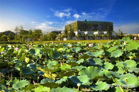 深圳国际低碳扩展区—坪地中心石灰围片区城市更新，恒大集团 - 知乎