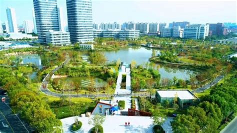 家门口的湿地公园！上海古美这座近10万平方米的公园开放啦_围观_澎湃新闻-The Paper