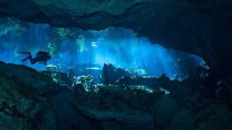 深海：探索寂静的未知 与深海及海洋生物亲密接触的震撼生命体验 - PDFKAN