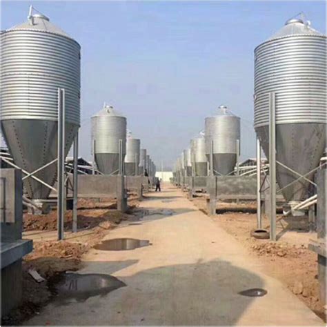 全自动养殖机械料塔 饲喂设备 猪场自动供料系统