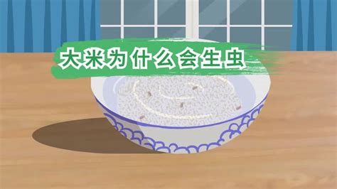 家里的米面出现小虫，对人有害吗？_武汉_新闻中心_长江网_cjn.cn