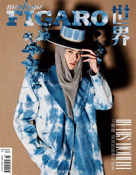王鹤棣从去年12月开始一直在刷时尚杂志封面……