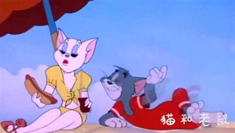 猫和老鼠 天津方言版-动漫-高清在线观看-百搜视频