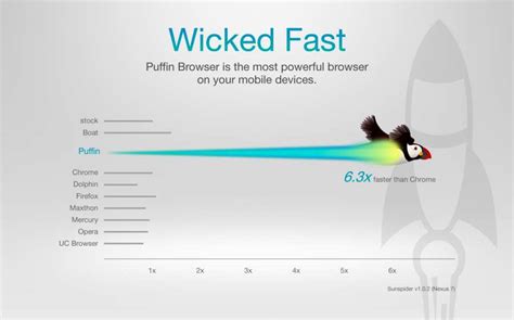 Puffin浏览器APP下载-Puffin浏览器手机网页搜索下载v4.7.2.2390-牛特市场