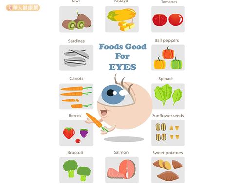 吃什么对眼睛视力好 吃如下食物对眼睛视力好_知秀网
