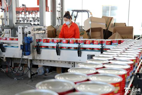 番茄加工企业生产忙 -天山网 - 新疆新闻门户