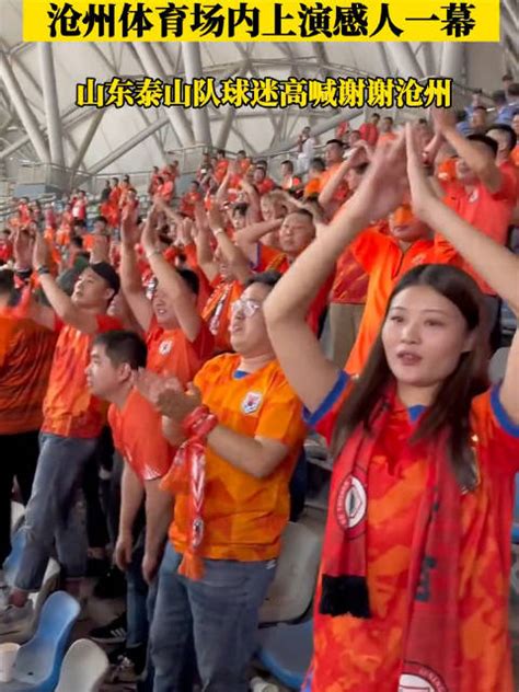 沧州雄狮2022赛季大名单-最初体育网
