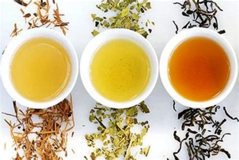 白茶、绿茶和红茶的区别是什么？_360问答