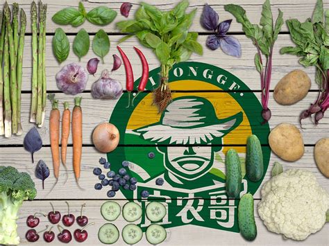 农产品蔬菜品牌logo设计|Graphic Design|Brand|艺艺要开心_Original作品-站酷(ZCOOL)