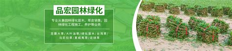 公司介绍-杭州艺诚绿化苗木销售中心