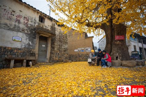 绍兴市城市防洪工程-企业官网