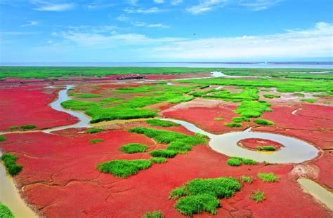 最红的海滩 最美的遇见_魅力盘锦_盘锦市人民政府