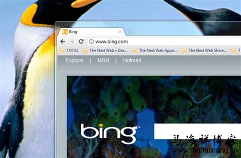 Bing官方搜索引擎优化指南给我们的启示-马海祥博客