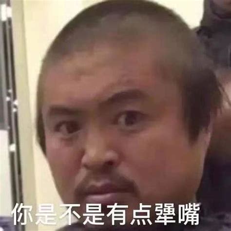 龙丽丽表情包图片