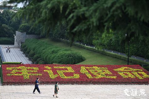 南京雨花台：巨型花卉拼图，庆祝建党99周年_新华报业网