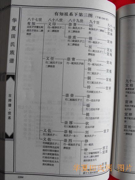 《华夏田氏族谱·第一辑》古沛族谱世系选辑 - 华夏田氏网