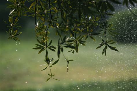 郑州下起“太阳雨” 局地性降雨本如此：出着太阳、下着雨-大河新闻