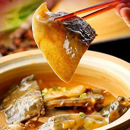 原味浓汤煲甲鱼、青椒焖甲鱼、黄焖甲鱼|甲鱼|青椒|浓汤_新浪新闻