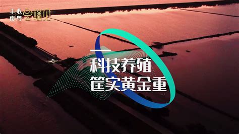 广州市南沙第一中学2020年招生宣传视频_腾讯视频
