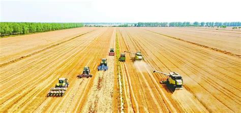 盐城大丰：“超级农场”书写现代农业发展新篇章|农机|上海_新浪新闻
