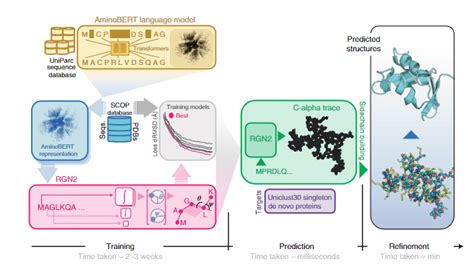 Nat. Biotechnol. | 使用语言模型和深度学习的单序列蛋白质结构预测 - 知乎
