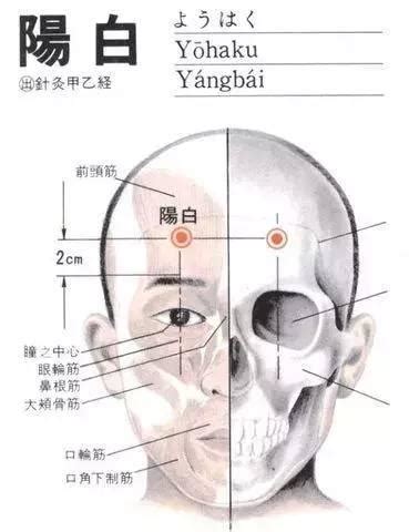 阳白的准确位置图图片 阳白的准确位置图图片