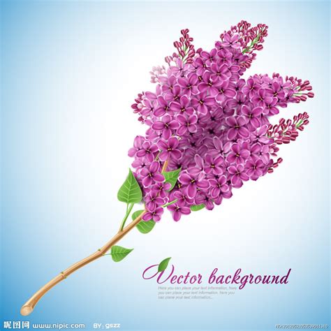 紫色丁香花logo设计图__企业LOGO标志_标志图标_设计图库_昵图网nipic.com