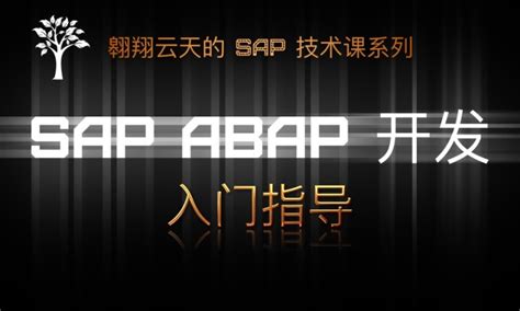 《SAP ABAP 开发入门》课程正式发布 - 知乎