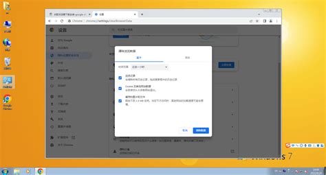 谷歌浏览器怎么自动清理记录-Google Chrome自动清除的方法教程 - 极光下载站