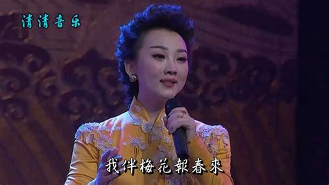 丁晓君图片