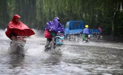 广东雷州遭遇特大暴雨 部分地区出现水浸-图片频道