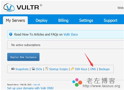 Vultr商家提供免费DNS域名解析服务 附Vultr免费DNS使用方法 | 老左笔记