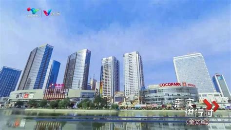 让城市建设更加精致，今年奎文区要干这些实事 - 新闻播报 - 潍坊新闻网
