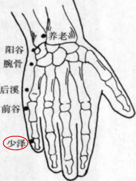 少泽的准确位置图图片