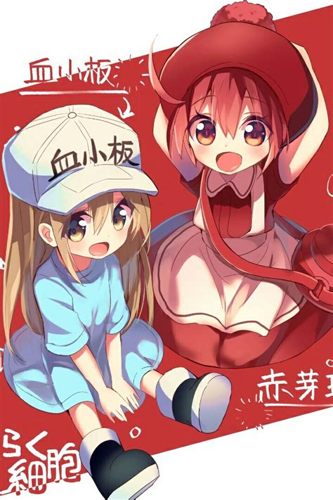 工作细胞图片