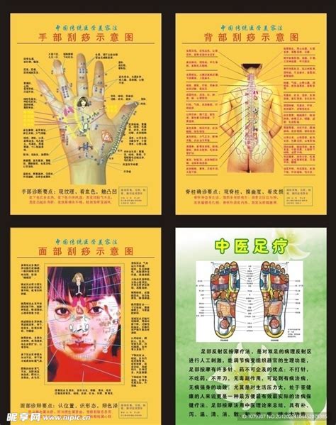 背部刮痧示意图图片
