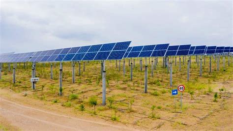 中广核内蒙古库布其沙漠光伏项目有效治沙2.7万亩 - 能源界