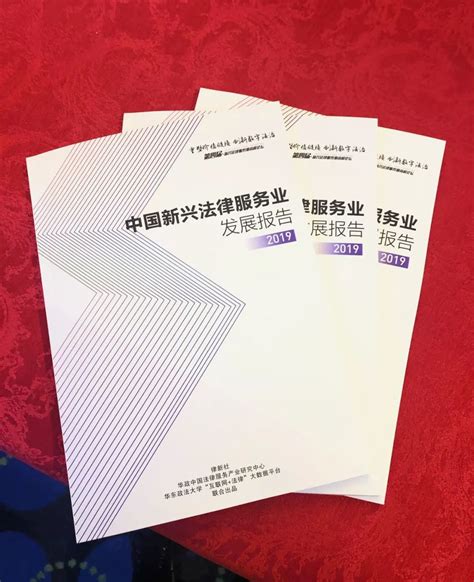 2019中国新兴法律服务业发展报告
