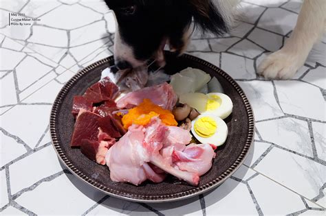 宠物料理 | 鲜生肉套餐|摄影|动物|Ivana0L0 - 原创作品 - 站酷 (ZCOOL)