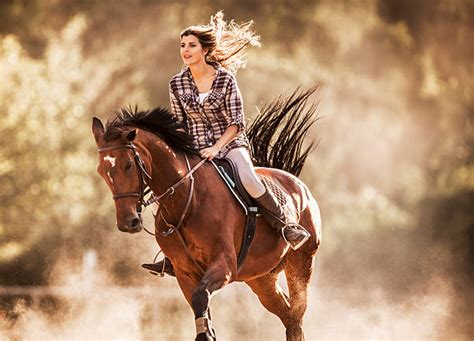 Lady horse rider hi-res stock photography and images - Alamy