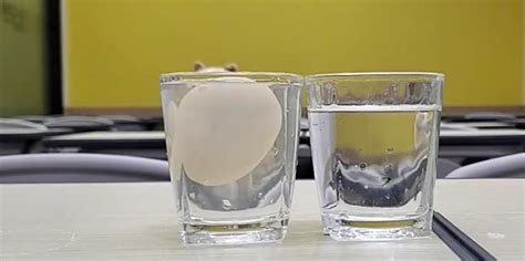 小姜实验室关于浮力的小实验：让蛋浮起来💛巧艺网