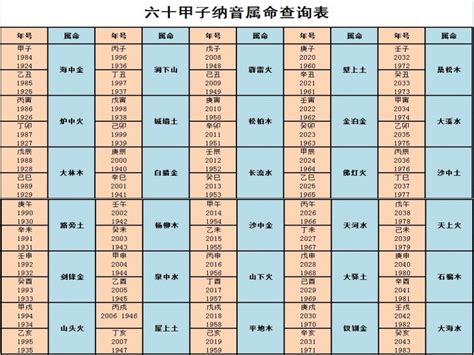 广东省林木采伐许可证20220523